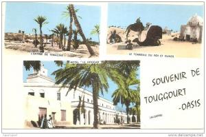 algérie  TOUGGOURT   oasis