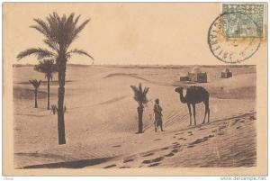 MAROC  DUNES DE SABLE PRES DE TOUGGOURT ANIME