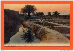 TOUGGOURT (Algérie) --> Jardin dans l´Oasis