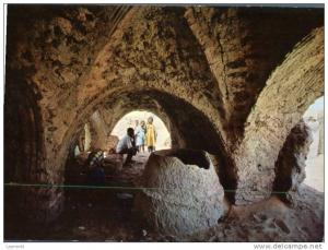 (369) Environ de Touggourt - Temacine