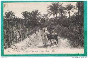 CPA  ALGERIE - SCENES ET TYPES- TOUGGOURT- DANS L OASIS-