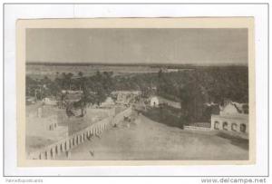 RP Aerial View of Oasis / Vue Generale et l'Oasis,Touggourt,Algeria 1900-10s