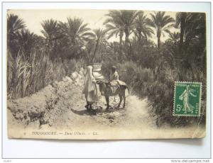 cpa, très belle vue animée, Touggourt, dans l´oasis