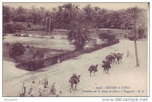 ALGERIE - route de BISKRA à TOUGGOURT - caravane - nr 2046 E.S. - d3 626