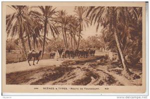 ALGERIE - SCENES ET TYPES - route de TOUGGOURT - nr 286 ND - lévy & neurdein à paris - d20 978