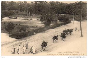 ALGERIE  SCENES ET TYPES  Caravane sur la route de Biskr à Touggourt  ..... ( Ref FA1431 )