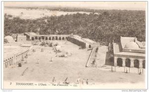 algérie   TOUGGOURT  l ' oasis  , vue
