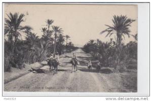 BISKRA - Route de Touggourt