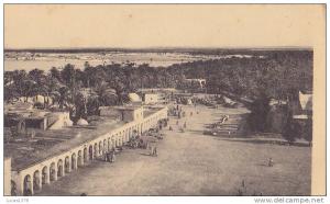 TOUGGOURT / VUE GENERALE ET L OASIS