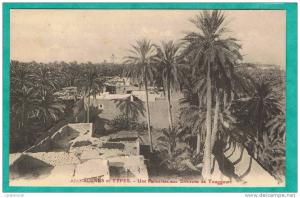 CPA  ALGERIE- TOUGGOURT- UNE PALMERAIE -