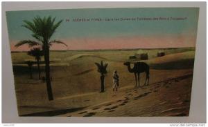 Scenes et Types- Dans Les Dunes du Tombeau des Rois a Touggourt