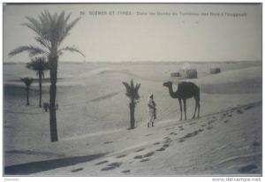 C. Postale  ALGERIE - TOUGGOURT - DANS LES DUNES DU TOMBEAU DES ROIS
