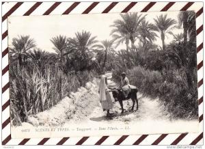 U2007 DANS L´OASIS TOUGGOURT 1909 2 SCANS