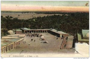 Algérie - Touggourt - L' Oasis
