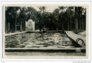 TOUGGOURT La Piscine