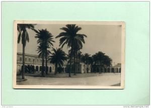 Afrique - Algerie -Touggourt - la place