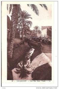 TOUGGOURT - Une rue dans l'oasis.