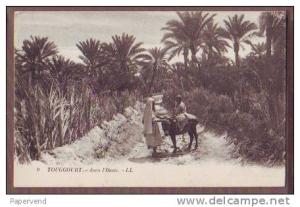 ALGERIA  Touggourt dans l'Oasis  alg15