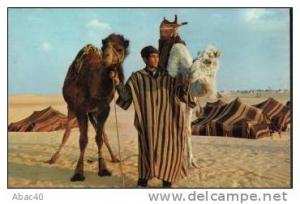 Algérie  Touggourt  Chamelier avec deux de ses chamaux dans le désert en...1973
