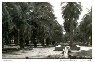 Algérie - Touggourt   Achat Immédiat
