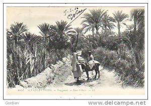 Algérie    TOUGGOURT   Dans  l´ Oasis