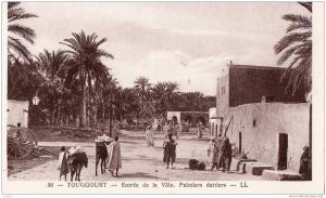 ALGERIE - TOUGGOURT - Entrée de la Ville - Palmiers Dattiers