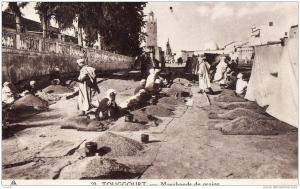 ALGERIE - TOUGGOURT - Marchands de Grains