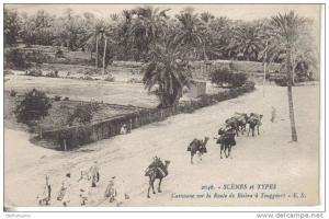 Scènes et types  caravane sur la route de Biskra à Touggourt
