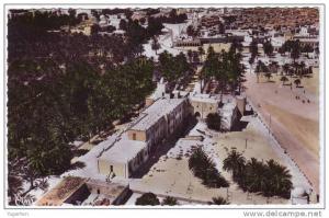 ALGERIE - CP - TOUGGOURT - Vue Générale - Neuve/Mint