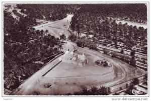 ALGERIE - CP - TOUGGOURT - Vue aérienne - Neuve/Mint