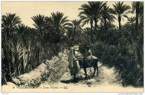 CPA animée - TOUGGOURT - DANS L'OASIS - X842