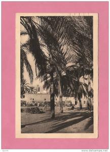 * CPSM..ALGERIE..TOUGGOURT. ...  Place du Marché