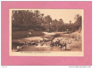 * CPA..ALGERIE..TOUGGOURT.. ..Un  Oued dans la Palmeraie