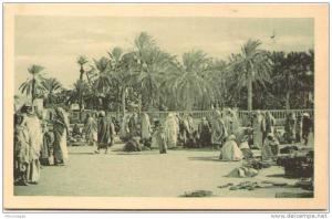 ALGERIE - Marché de TOUGGOURT