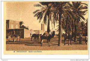 TOUGGOURT - Sortie vers Netzla - - cpsm sépia - écrite - Edit Mme Dewamme- Touggourt