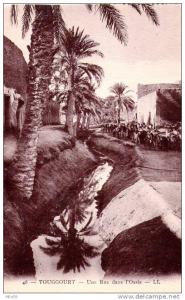 Touggourt. Une rue dans l´Oasis.