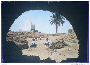 C. Postale  ALGERIE - TOUGGOURT - LE MARABOUT (1981)