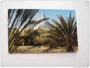 Algerie -Touggourt  Les Tombeaux  des Rois -   D72620