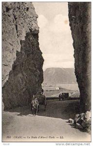 ALGERIE  ORAN  La Route d'Aïn el Turk