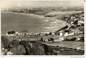 AIN EL TURK - Cap Falcon