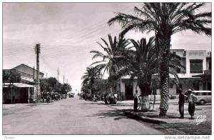 Algérie. Ain el Turk. Avenue du Gal Leclerc (  CPSM CAP 22  ).