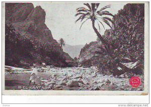 ALGERIE -- EL KANTARA -- Vue générale