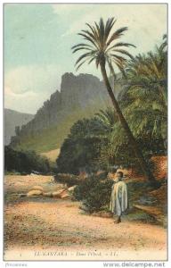 CPA ALGERIE / El Kantara