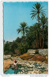 El Kantara, la riviere (scan recto-verso) KEVREN0036