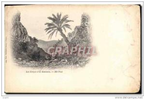 CPA Les Gorges d'El Kantara