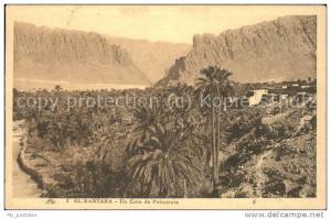 dg21313 El Kantara Un Coin de Palmeraie Kat. Algerien