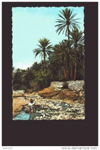 CP  ALGERIE   El  Kantara dans la rivière