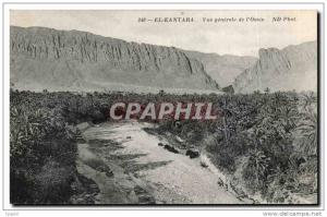 CPA El Kantara Vue generale de I Oasis