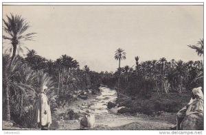 EL KANTARA .... L OASIS COTE SUD