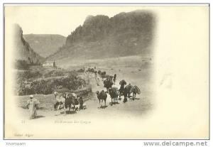 ALGERIE - El Kantara - les Gorges - une caravane  - non circulée  - VRN